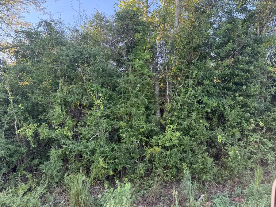 Tbd Hauser Rd, Deridder, LA 70634 - #2