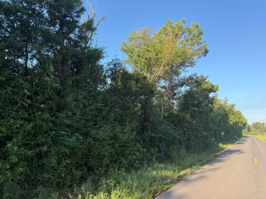 Tbd Hauser Rd, Deridder, LA 70634 - #3