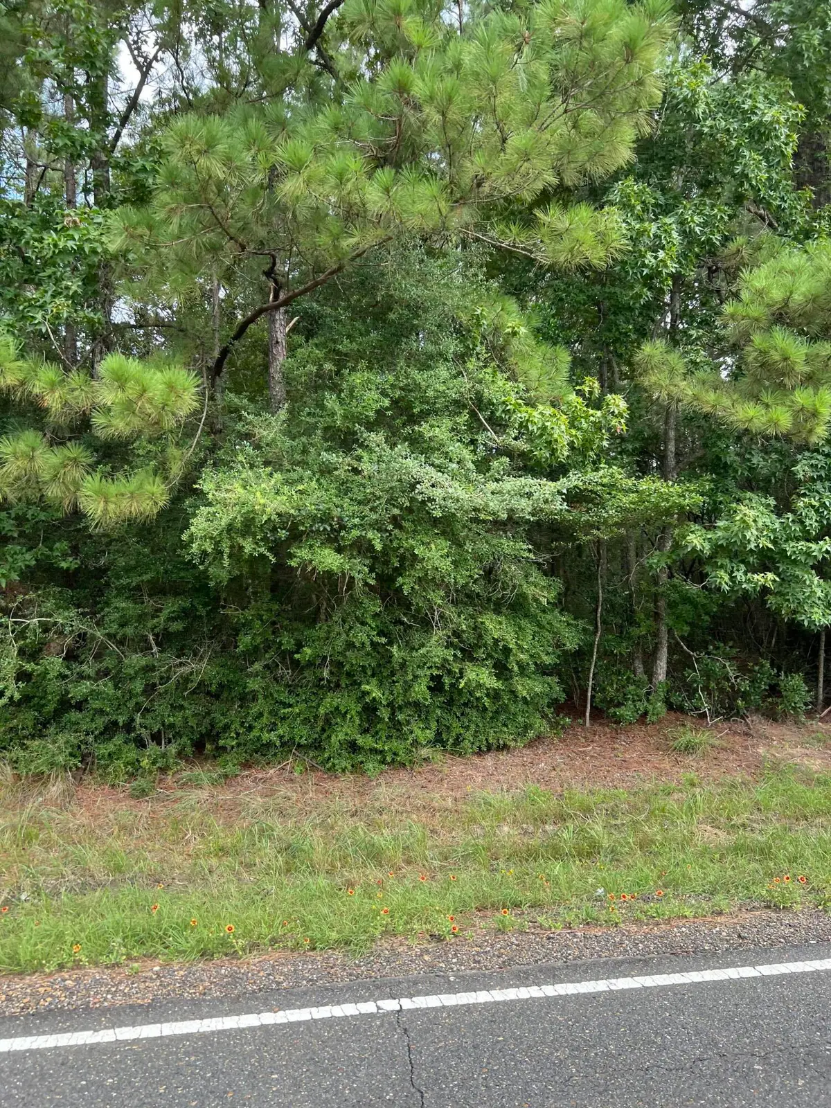 Tbd La-389, Merryville, LA 70653 - #1