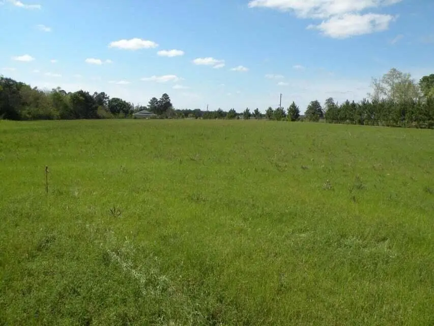 Tbd Hwy 121, Hineston, LA 71438 - Image #2