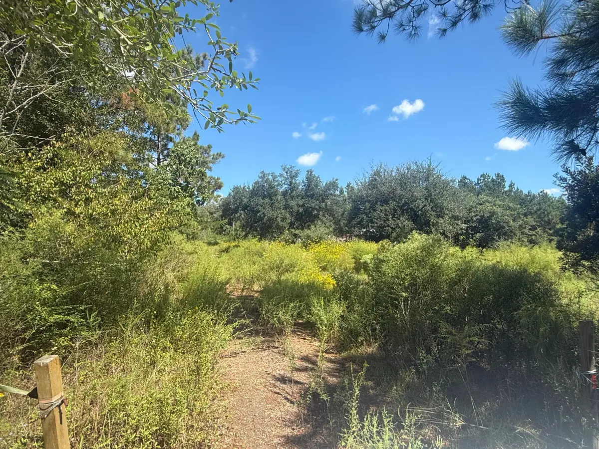 999 Memorial Church Rd, Longville, LA 70652 - Image #1