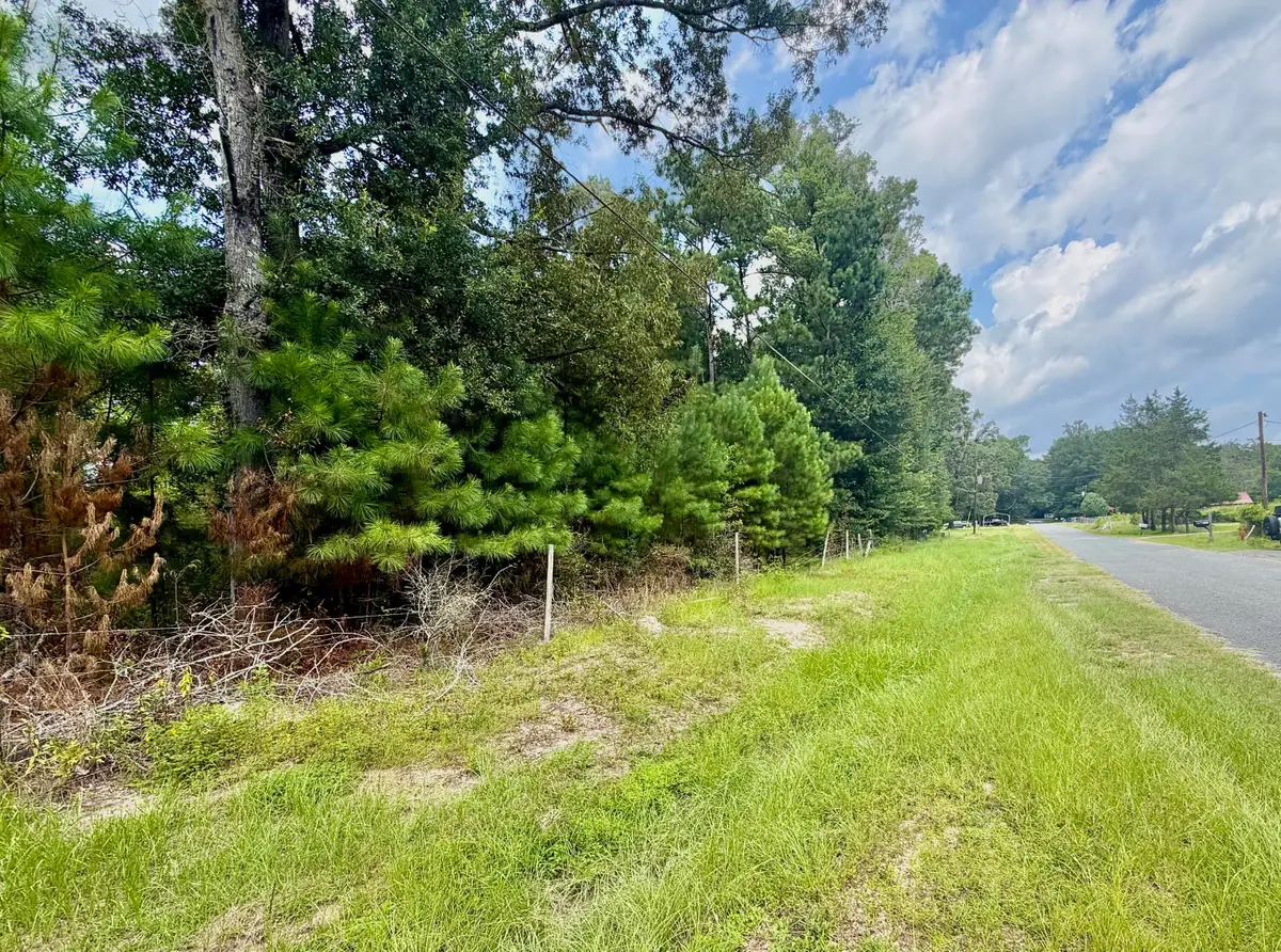311 Rogers Loop, Leesville, LA 71446 - #1