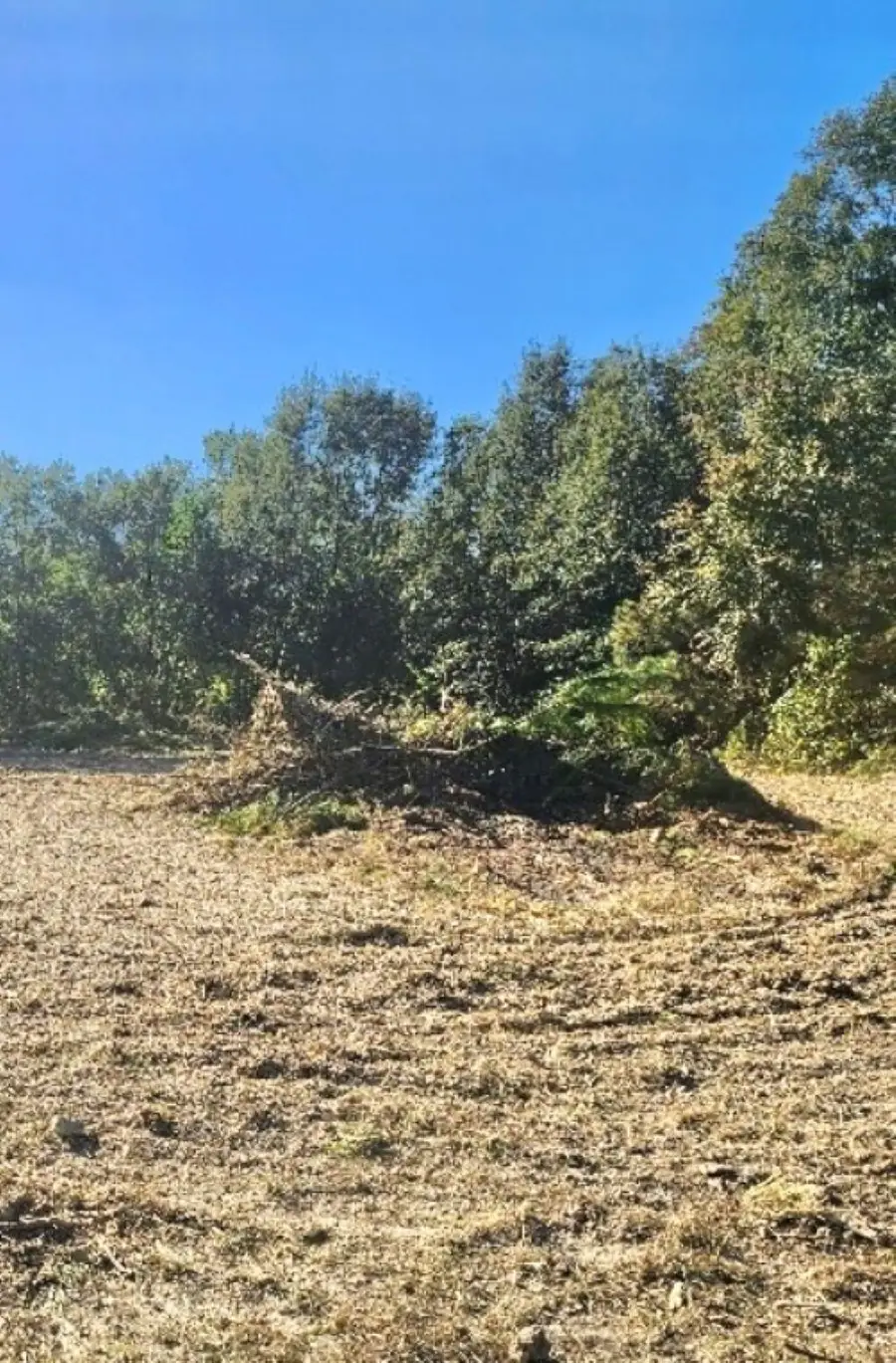 Woodland Dr, Sulphur, LA 70665 - Image #3