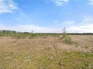 Rea Rd, DeRidder, LA 70634