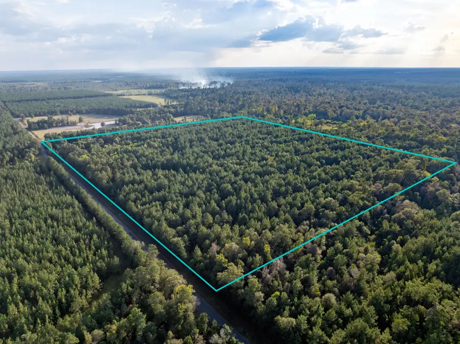 Burns Clark Rd, Singer, LA 70660 - Image #3