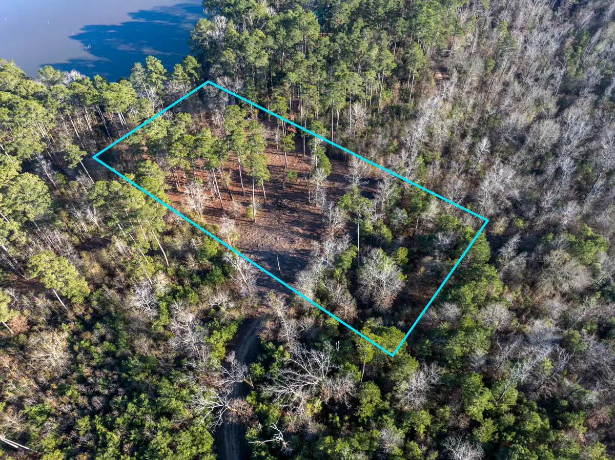 Lazy Point Trail, Many, LA 71449 - #1