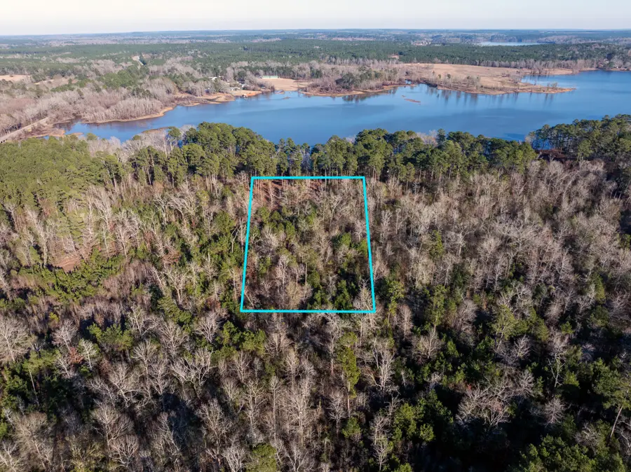 Lazy Point Trail, Many, LA 71449 - #3