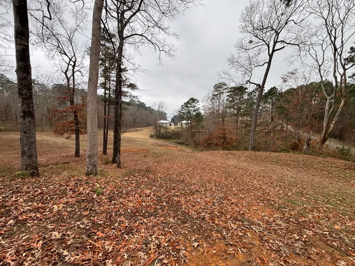 Tbd Stoney Creek Drive, Many, LA 71449 - Image #1