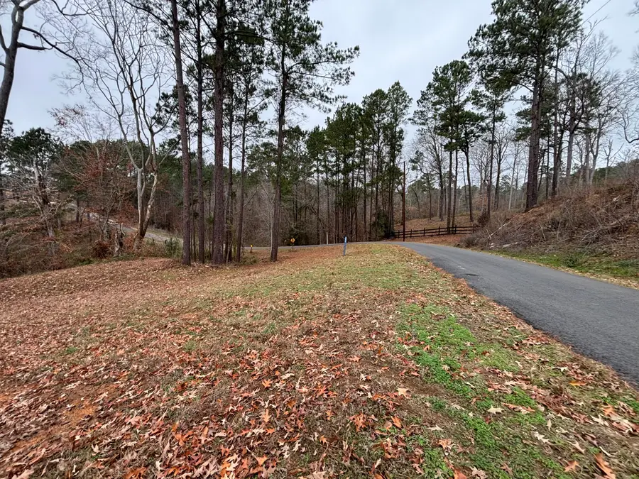 Tbd Stoney Creek Drive, Many, LA 71449 - Image #2