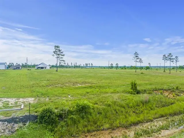 Camp Edgewood Rd, Dequincy, LA 70633 - #3