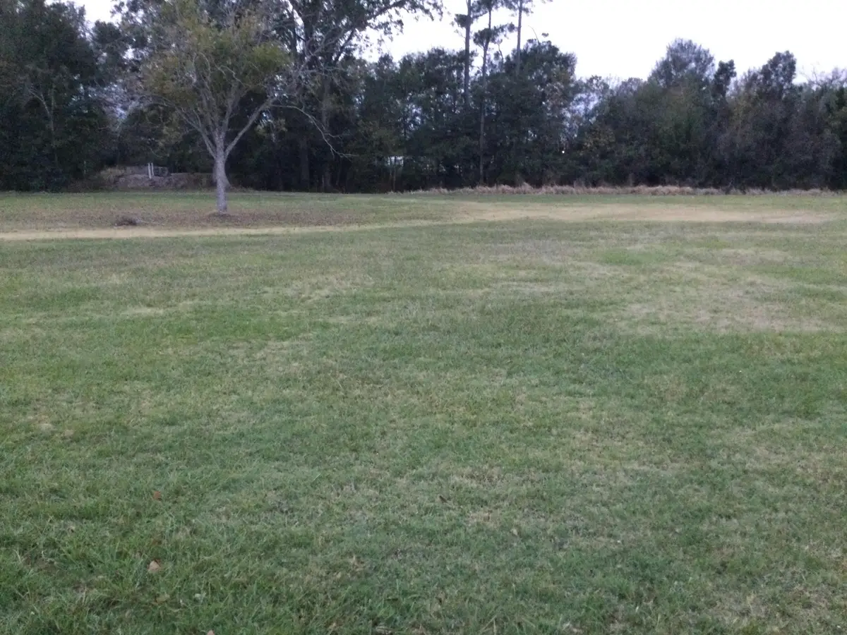 Trina Lane, Sulphur, LA 70663 - Image #1