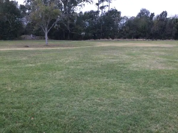 Trina Lane, Sulphur, LA 70663