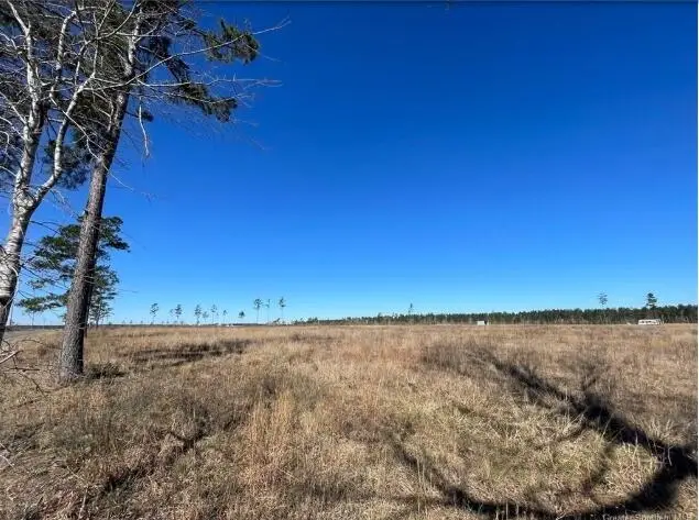 Camp Edgewood Rd, Dequincy, LA 70633 - Image #2