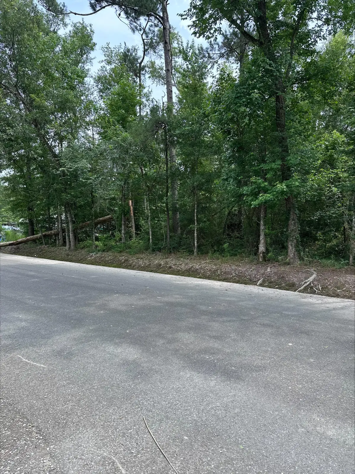 Angus Dr, Ragley, LA 70657 - #1