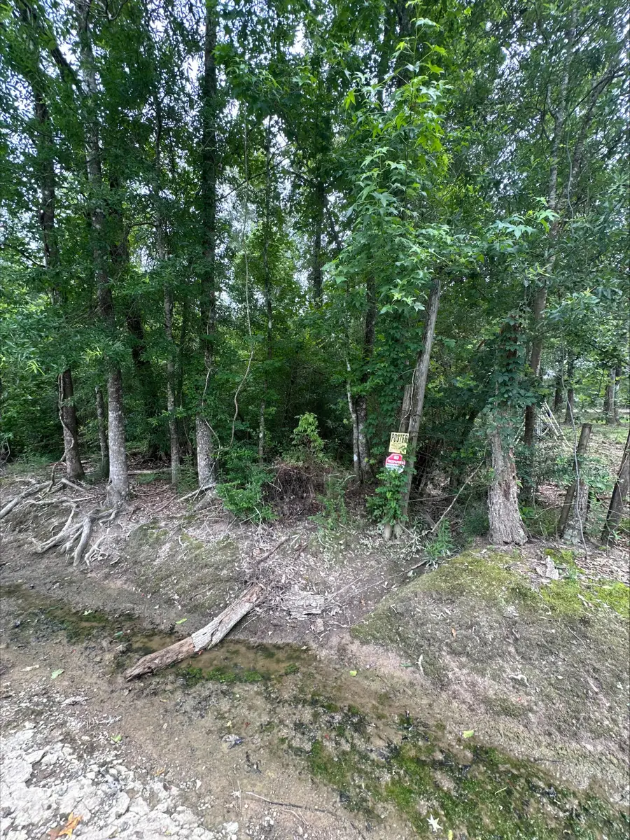 Angus Dr, Ragley, LA 70657 - #3