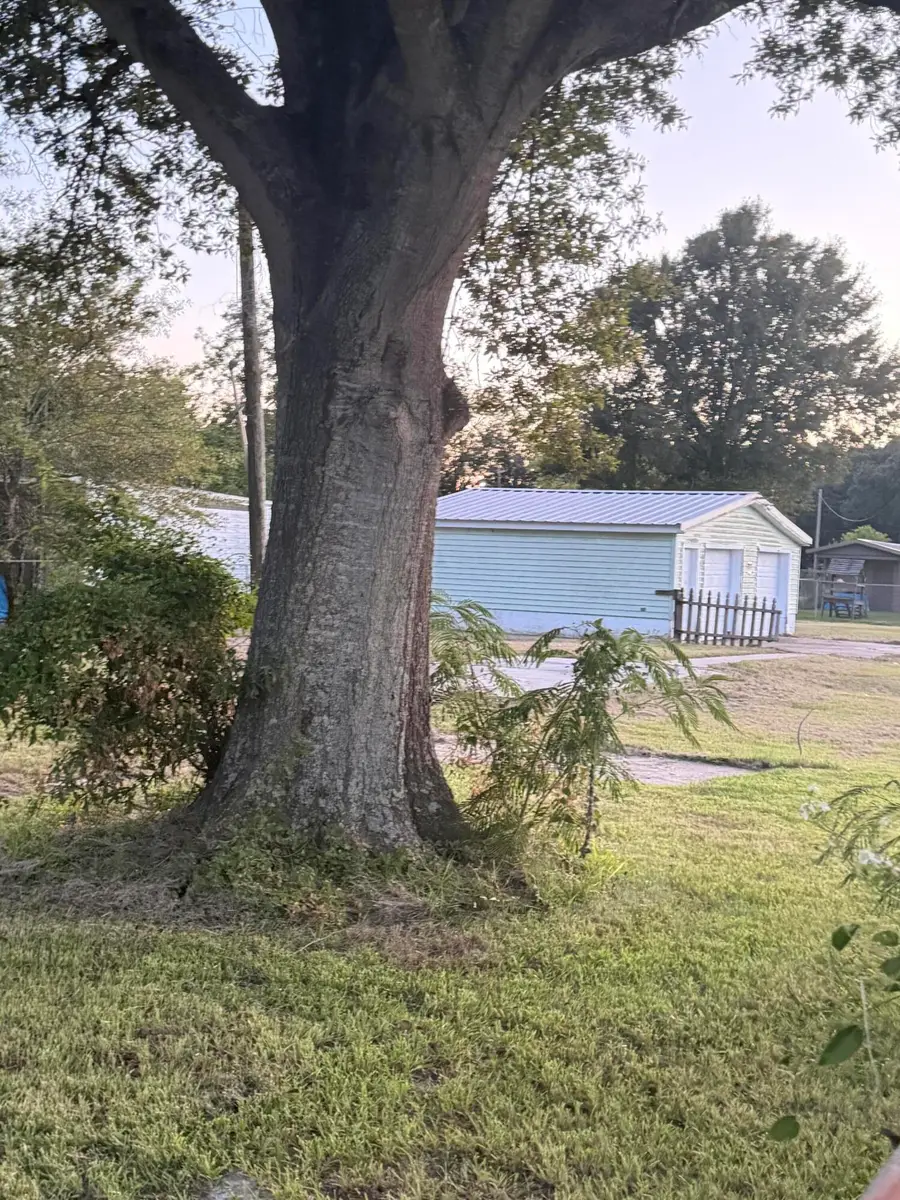 Vincent Street, Vinton, LA 70668 - #3