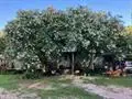 4146 Watkins Road, Lake Arthur, LA 70549 - #1