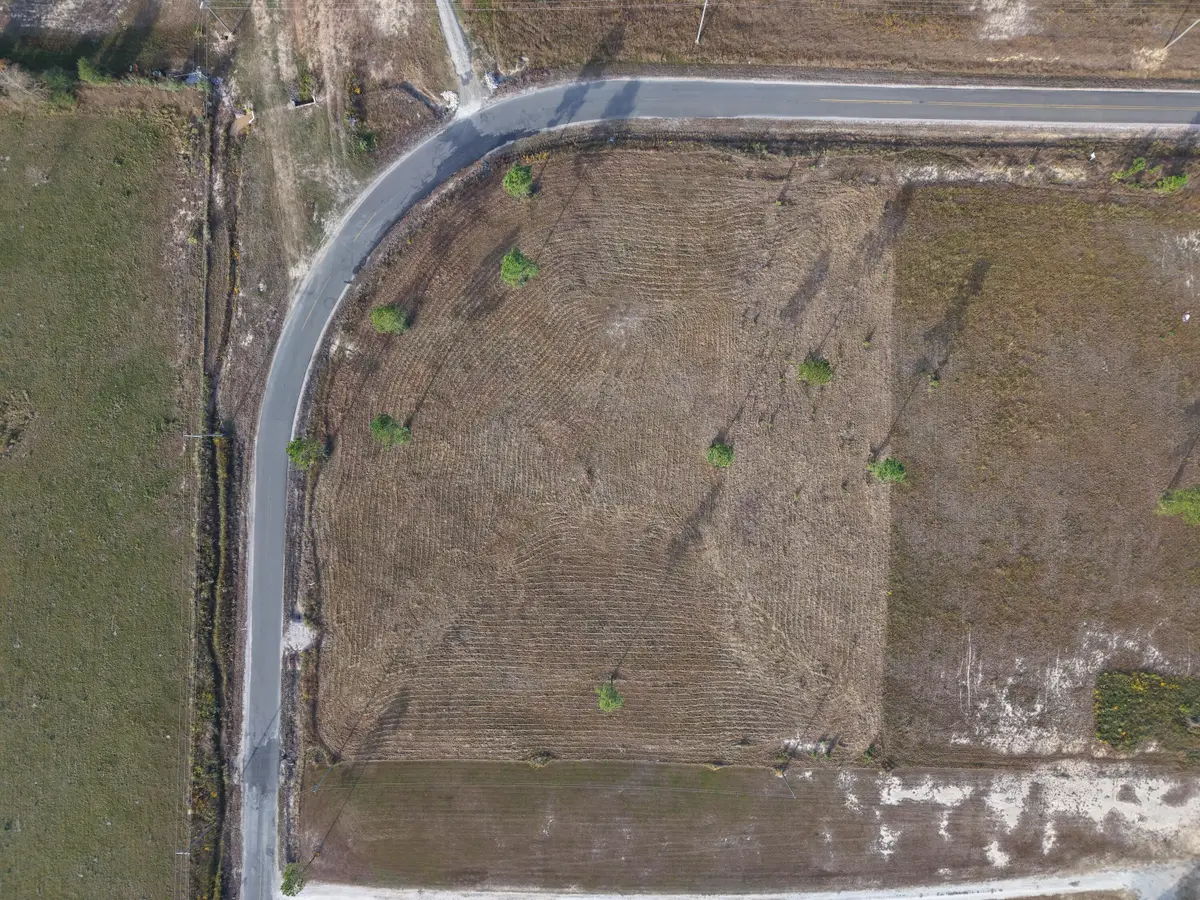 2630 Camp Edgewood Rd, Dequincy, LA 70633 - #1