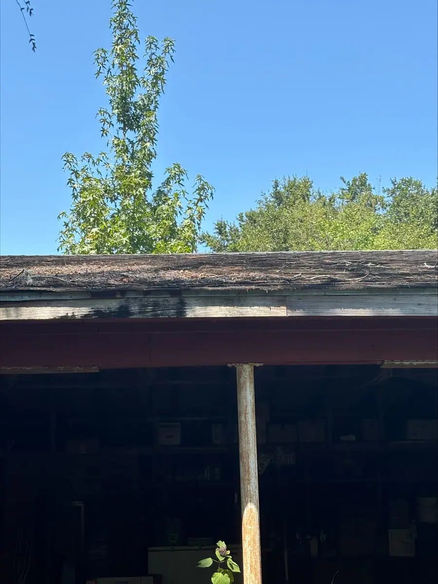 7931 Highway 26, Oberlin, LA 70655 - #3