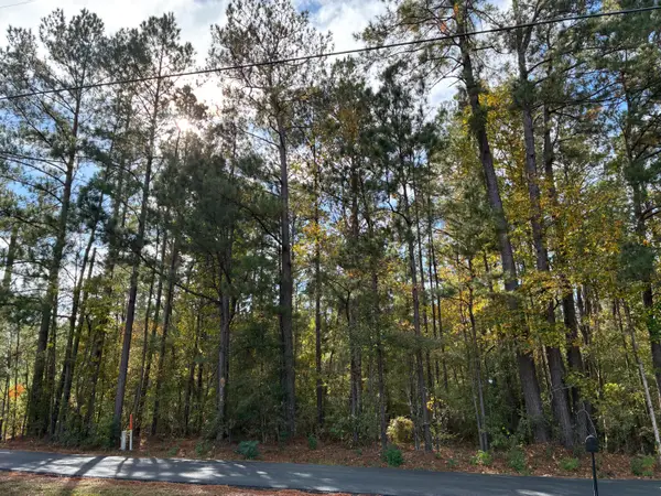 Section Line Road, Leesville, LA 71446