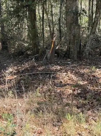 O Simmons Rd, Deridder, LA 70634 - #2