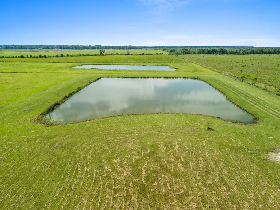 813 Birdnest Rd, Lake Charles, LA 70611 - Image #3