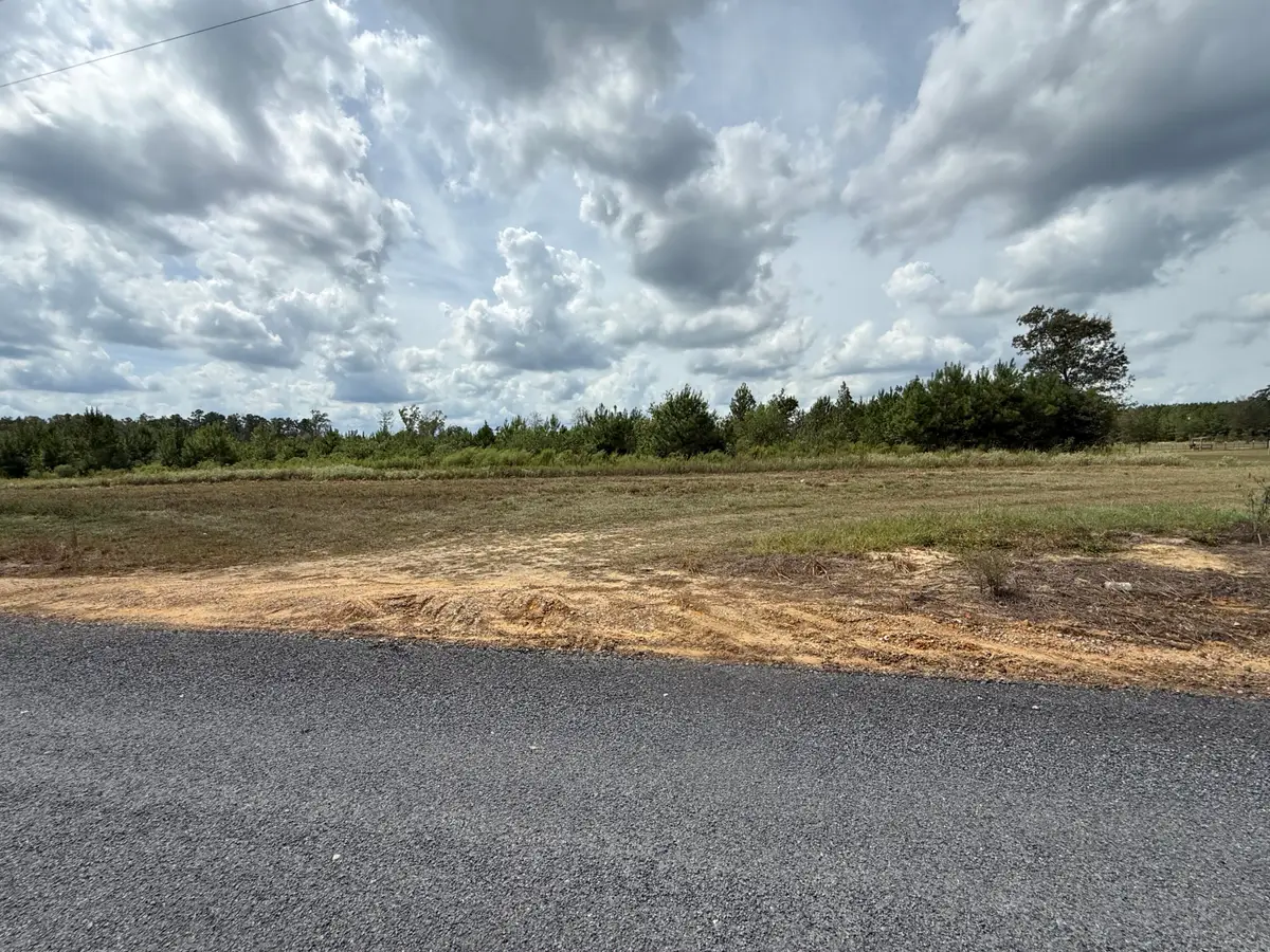 Tbd Greentown Rd, Dry Creek, LA 70637 - #1