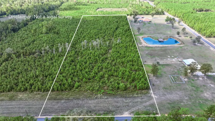 Tbd Greentown Rd, Dry Creek, LA 70637 - #3