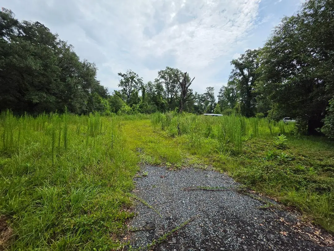 S Planer Mill Rd, Deridder, LA 70634 - #1