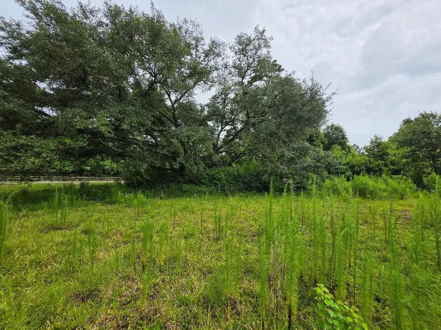 S Planer Mill Rd, Deridder, LA 70634 - #2