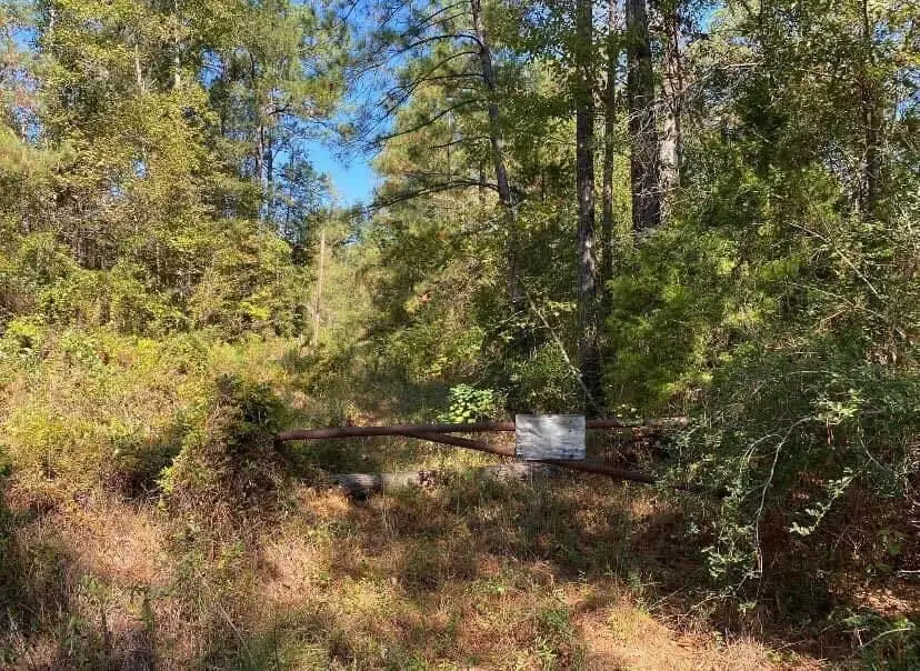 Longville Rd, Dry Creek, LA 70637 - #2