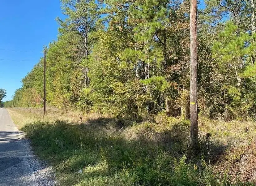 Longville Rd, Dry Creek, LA 70637 - #2