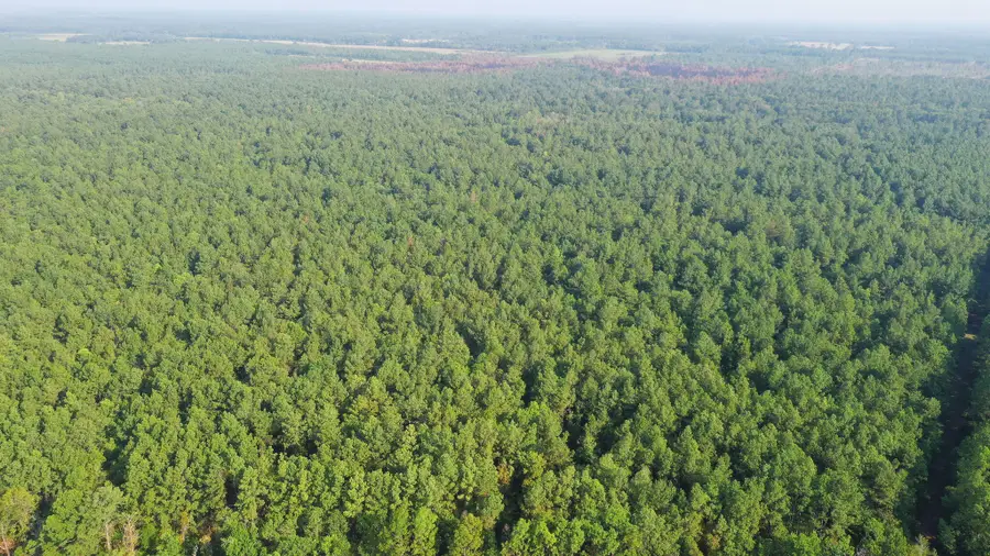 Planer Mill Rd, Deridder, LA 70634 - #2