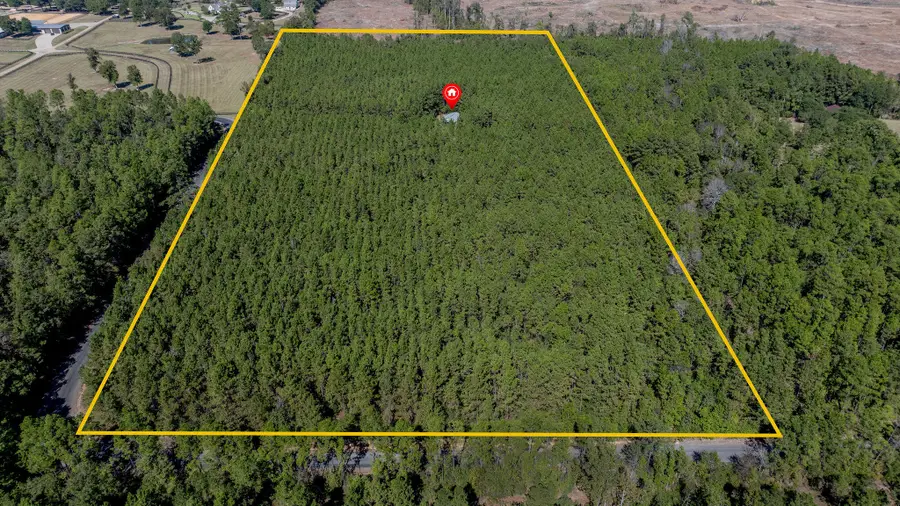 635 Jay Miller Rd, Dry Creek, LA 70637 - Image #2