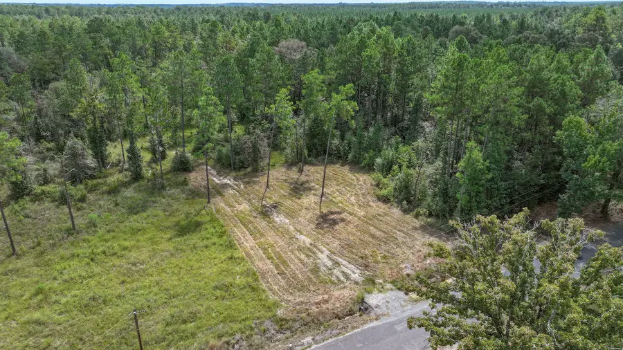 158 Sandy Loop, Merryville, LA 70653 - #3