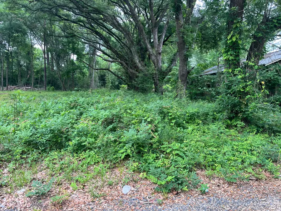 163 & 141A Pelt, Leesville, LA 71446 - #2
