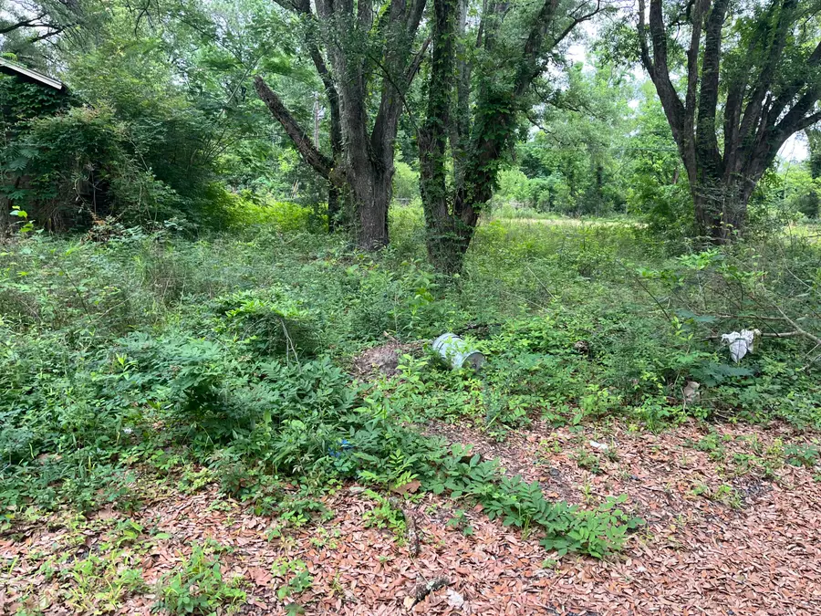 163 & 141A Pelt, Leesville, LA 71446 - #3