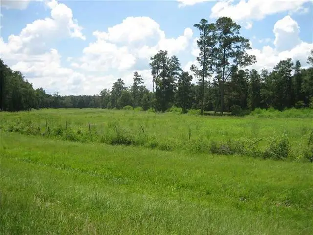 Hwy 442/i-55 Highway, Tickfaw, LA 70466 - #2