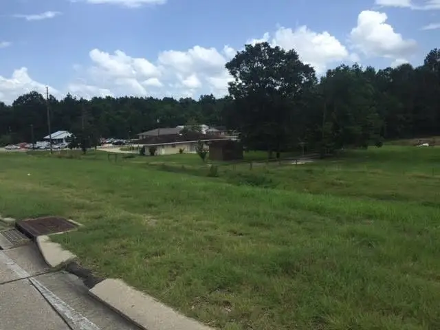 45519 Puma Drive, Hammond, LA 70401 - #1