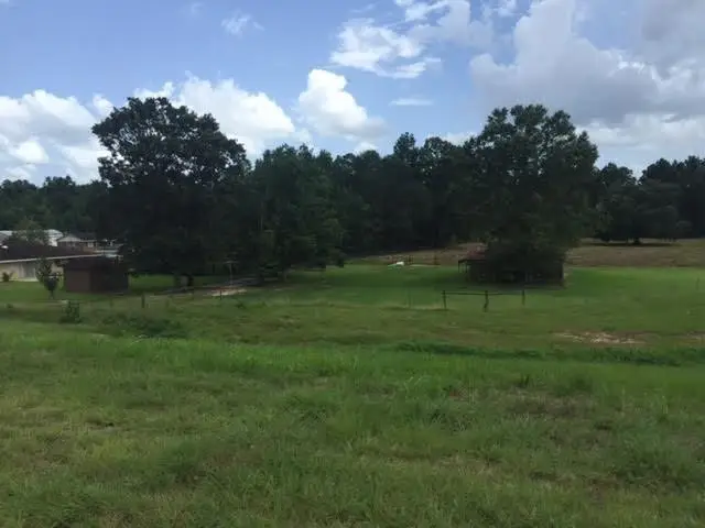 45519 Puma Drive, Hammond, LA 70401 - #2