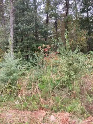 18625 E La 22 Highway, Ponchatoula, LA 70454 - #1