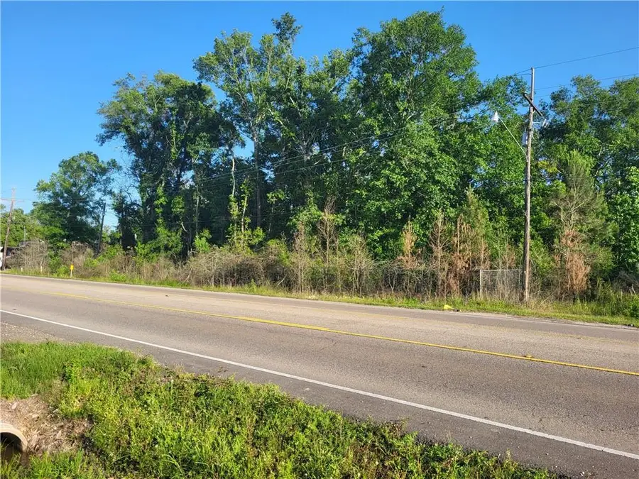9.88 acres E Highway 190 Highway, Hammond, LA 70401 - #3