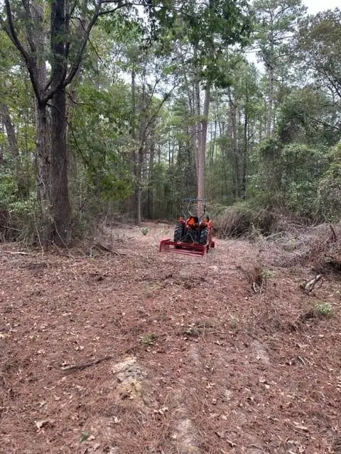 0 Williford Road, Pineville, LA 71360 - Image #3