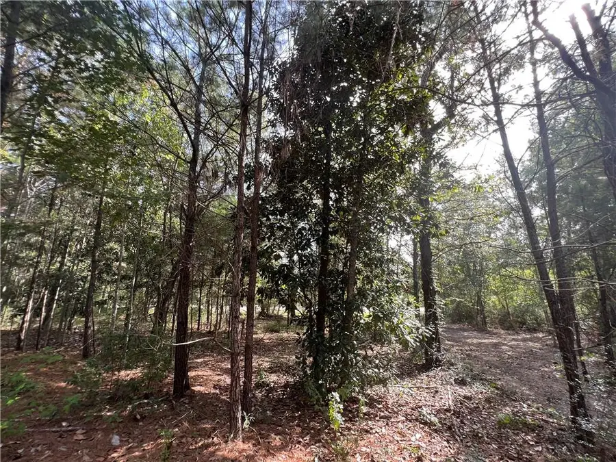 Lot Hwy 190 Sect 28 T95 R15e, Slidell, LA 70461 - Image #3