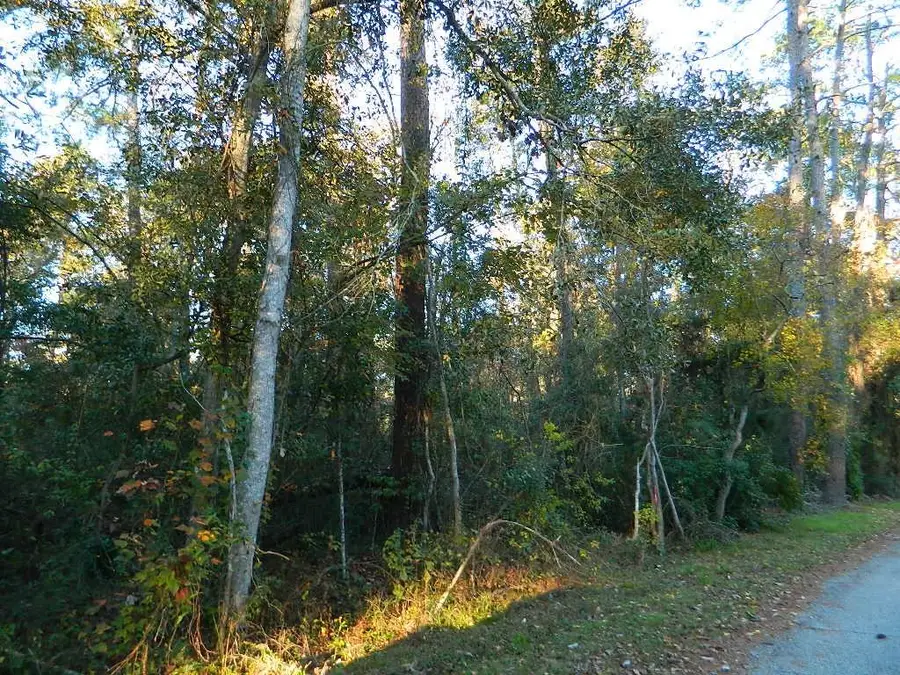 Lots 160-164 Bogue Falaya Drive, Covington, LA 70433 - Image #2