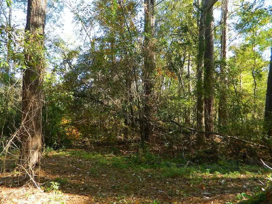 Lots 160-164 Bogue Falaya Drive, Covington, LA 70433 - Image #3