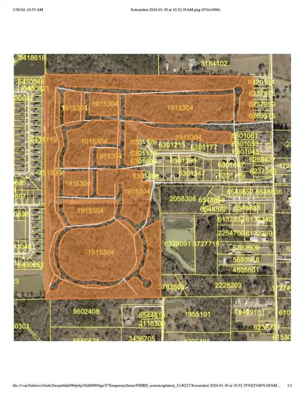 +/-93.73 Acres Brown Road, Ponchatoula, LA 70454 - Image #2
