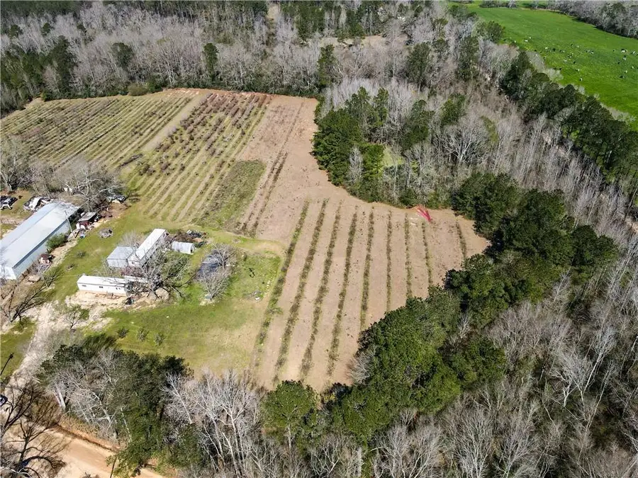 19149 Hodges Road, Franklinton, LA 70438 - Image #2