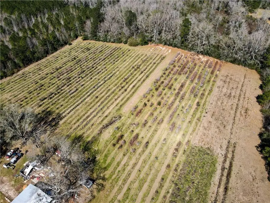 19149 Hodges Road, Franklinton, LA 70438 - Image #3