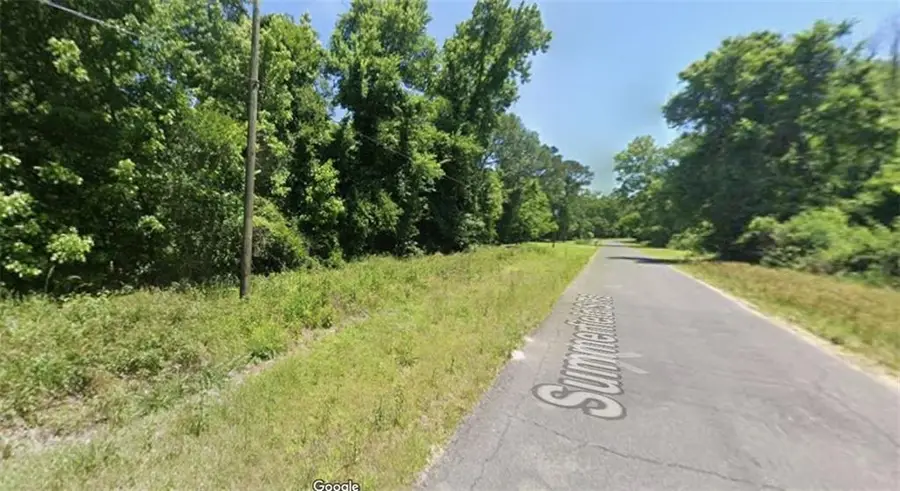 17354 Summerfield South Road, Prairieville, LA 70769 - Image #3